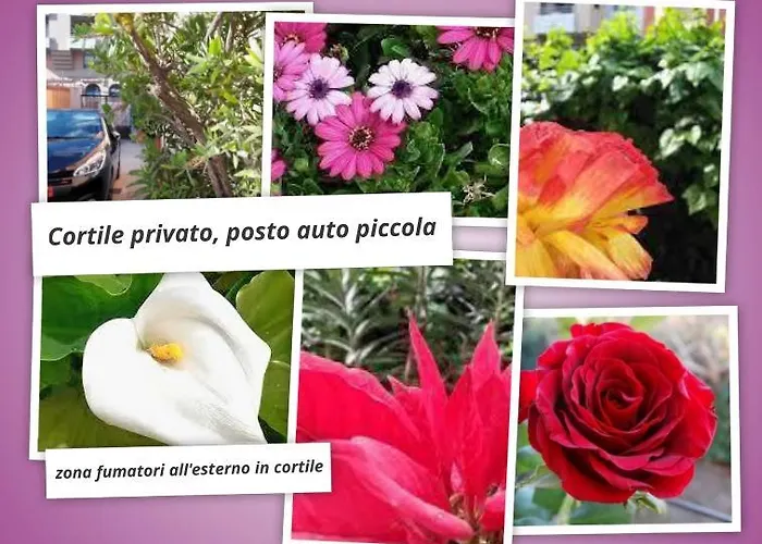 Le Pavoncelle 5* Кальяри