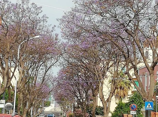 Гостевой дом Le Pavoncelle 5*