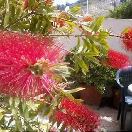 Le Pavoncelle Cagliari