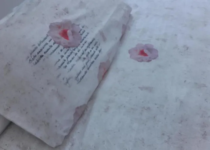 Le Pavoncelle 5* Cagliari